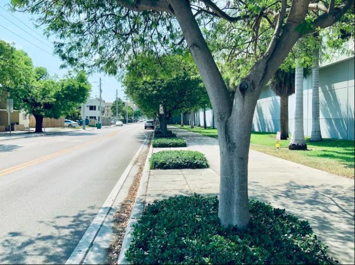 Apartments In The Heart Of Miami - Port Of Miami / Miami Airport Bagian luar foto
